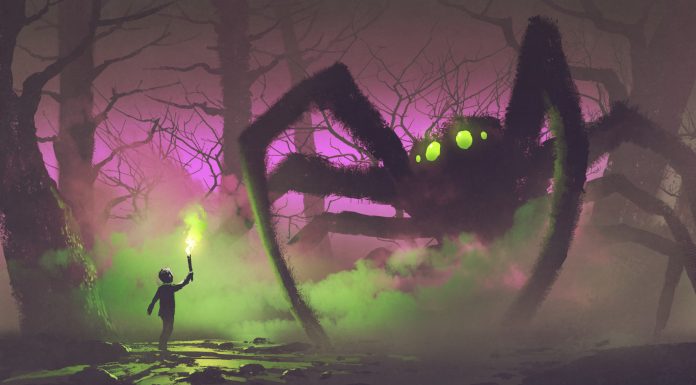 Soñar con Arañas | Significado e interpretaciones más comunes Soñar con Arañas