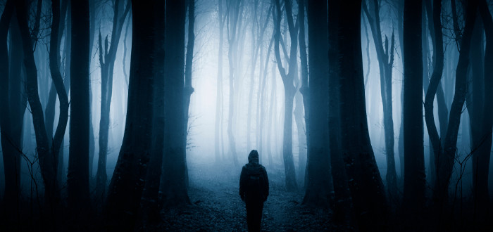 Soñar con Fantasmas bosque