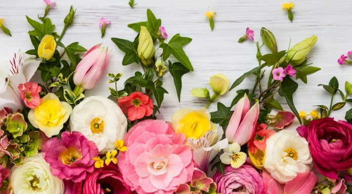 Soñar con flores | Significado e interpretaciones más comunes Soñar con Flores