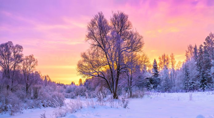 Soñar con Nieve | Significado e interpretaciones más comunes Soñar con Nieve