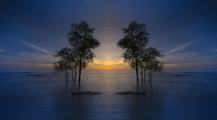 Soñar con Isla | Significado e interpretaciones más comunes Soñar con Isla