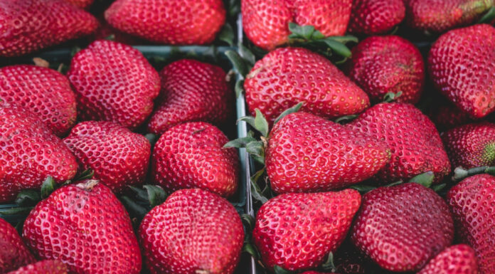 Soñar con fresas | Significado e interpretaciones más comunes Soñar con fresas