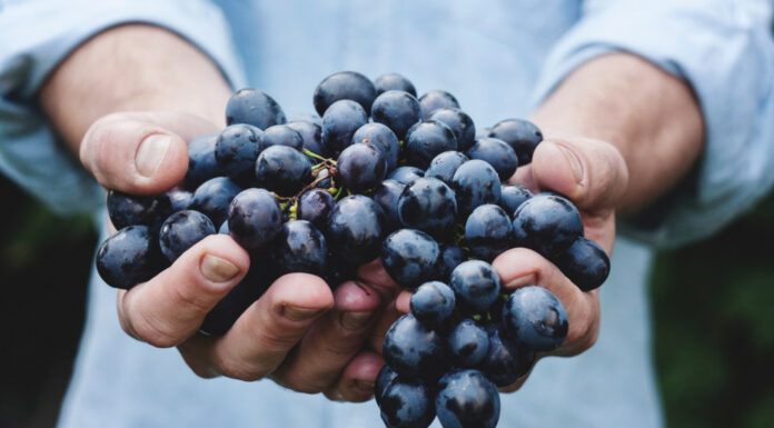 Soñar con frutas | Significado e interpretaciones más comunes Soñar con Frutas