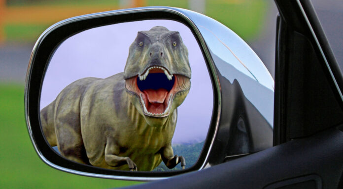 Soñar con Dinosaurios | Significado e interpretaciones más comunes Soñar con Dinosaurios