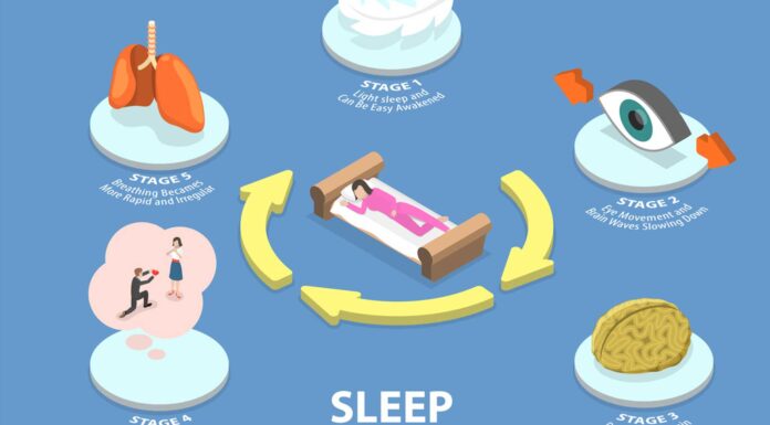 ¿Cuáles son las fases del sueño? | Conoce qué pasa al dormir ¿Cuáles son las fases del sueño?